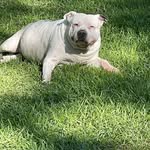 Joe Strickland - @jostrickland5810 - Instagram