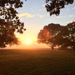 Jo-Ann Strong - @jostrong12 - Instagram