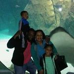 Jo Talley - @john.talley.7524 - Instagram