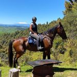 Jo Thomson - @jos_horse_adventures - Instagram