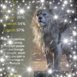 Jo Ann Trout - @timsjotrout63 - Instagram