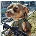 Joe Trout - Facebook