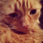 Jo-Anne - @jo_turley - Instagram