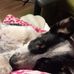 Joanne Vincent - Facebook