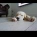 Jo Walters - Facebook