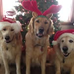 Jo Walters - @jowalters440 - Instagram