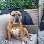 Jo Watkins - @jo.watkins.395669 - Instagram