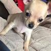 jowatkins906 - @jowatkins906 - TikTok