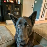 Jo Wilde - @jocorrado - Instagram
