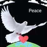 Jo Wilkinson - @jowilkinson1947 - Instagram