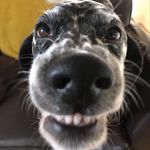 Jo wilkinson - @daisydotdesigns16 - Instagram