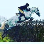 Jo Wiseman - @copsehilljo - Instagram