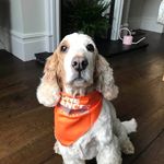 Jo Wright - @jo.wright.144 - Instagram