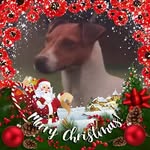 Jo Yates - @jo.yates.52 - Instagram