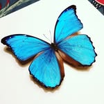 Joachim Hansen - @buildabutterfly - Instagram
