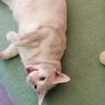 Joachim Sauer - @puschkin58 - Instagram