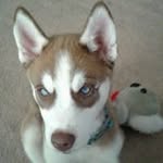 Joan Ackley - @joan.ackley1 - Instagram