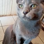 Joan Alonso Leiva Cofre - @joanalonsoleiva - Instagram