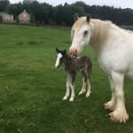 Joan Anderson - @joananderson52 - Instagram