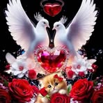 Joan Angel - Facebook