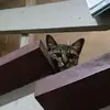 joan.angel - @joan.angel5 - TikTok