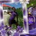 Joan Antoine - Facebook
