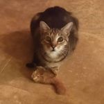Joan Aronson Kelley - @joan.a.kelley - Instagram