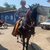 Joan Arroyo - @joan.arroyo8 - TikTok