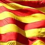 Joan Arroyo Busquets - @joan_arroyo_busquets - Instagram