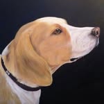 Joan Ashcroft Art - @joanashcroftart - Instagram