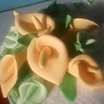 Joan Augustine - @tastemydesert - Instagram