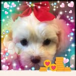 Joan Augustine Niemits - @joanniemits - Instagram