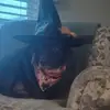 joanneayersricott - @joanneayersricott - TikTok