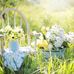 Joan Babbitt - Facebook