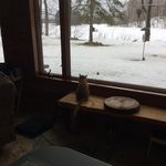 Joan Babbitt - @joanbabbitt - Instagram