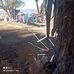 Joan Garcia Balderas - Facebook