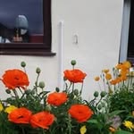 Joan Bancroft - @bancroft.joan - Instagram