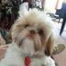 Joan Guenther Barnhart - Facebook