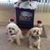 Joan Bateman - Facebook