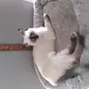 Joan Beam - @joan.beam - TikTok
