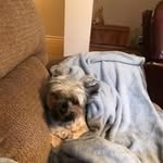 Joan Beams - @beamsjoan - Instagram