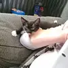 Joan Bean147 - @joanbean147 - TikTok