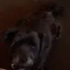 Joan Bean255 - @joanbean255 - TikTok