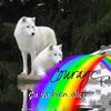 Joanie Beaudoin - @joaniebeaudoin2 - TikTok