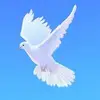 JoAnn Beaudoin Moon pigeon - @joannbeaudoin4 - TikTok