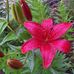 Joan Beaudry - Facebook
