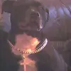 joannebeggs913 - @joannebeggs913 - TikTok