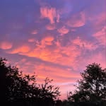 Joan Bentz-Hayden - @jlhay1 - Instagram