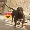 S̴i̴n̴_n̴o̴m̴b̴r̴e̴ - @joanjoanbest - TikTok