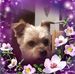 Joan Beyer - Facebook